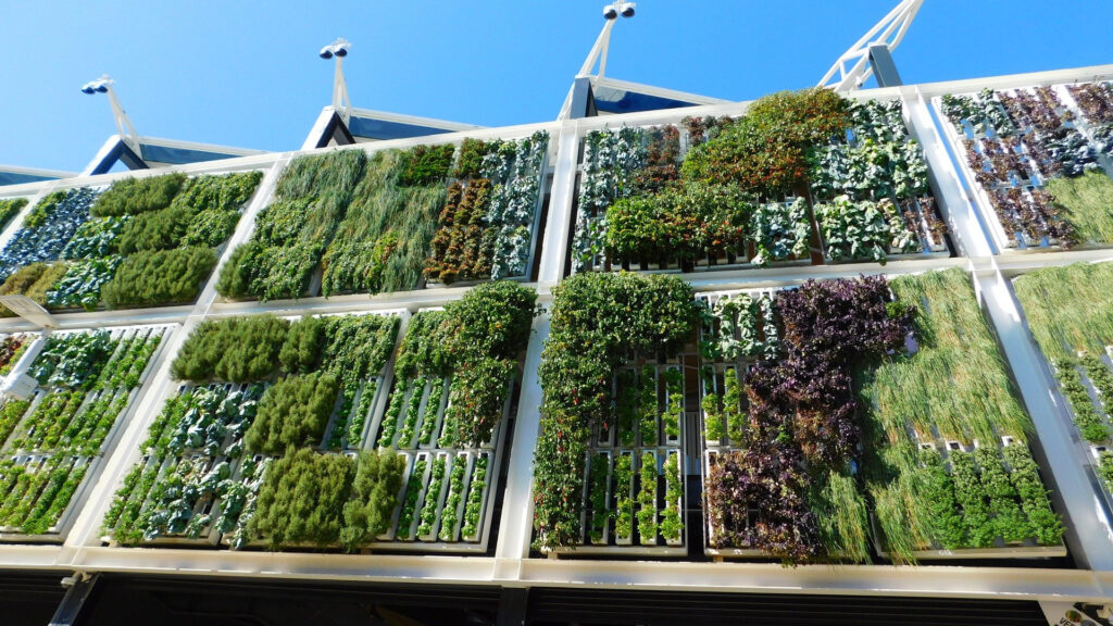 La agricultura vertical esta generando unos ingresos enormes en el mundo del cultivo